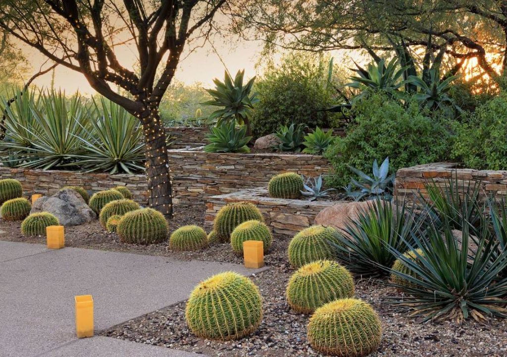 Xeriscaping Service in San Antonio