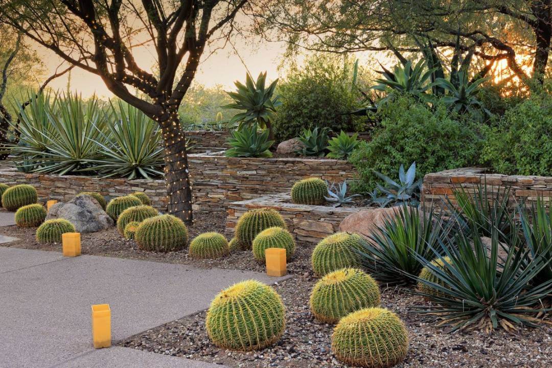 Xeriscaping Service in San Antonio