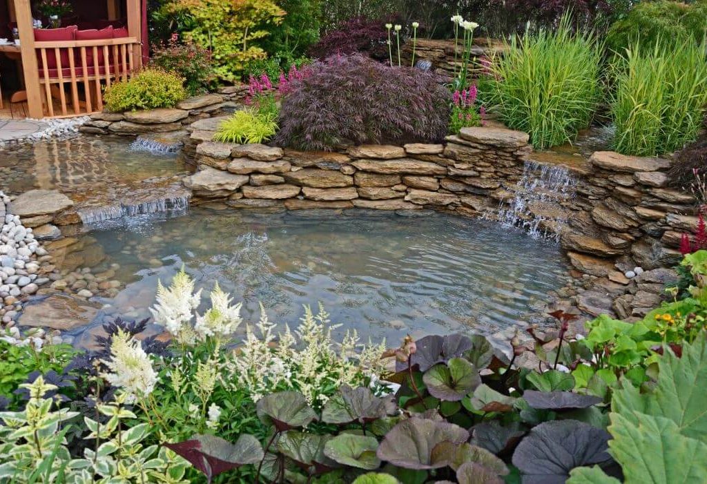 Pond Builder San Antonio – Installation and Maintenance